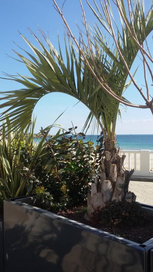 Ty Avel Studios 110 Et 111 Quiberon Bagian luar foto