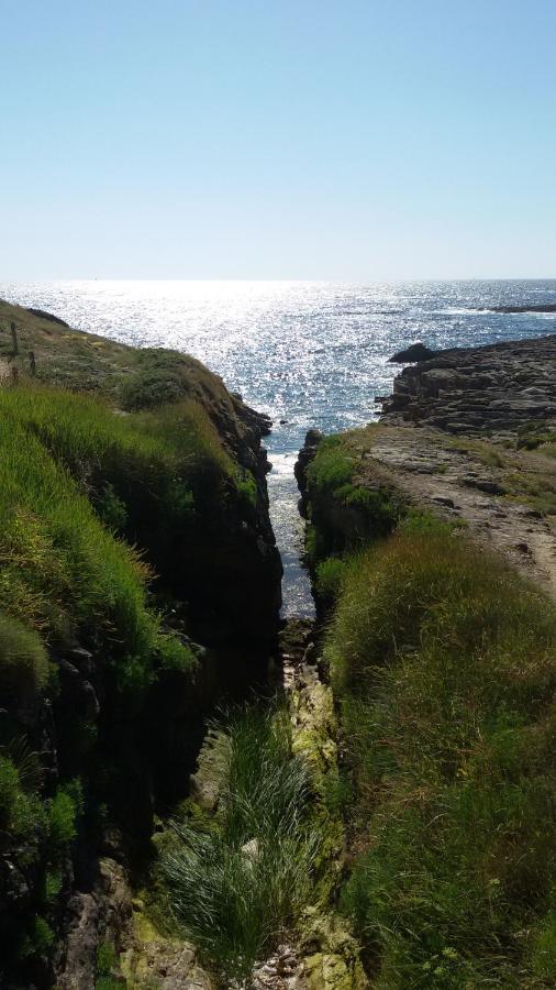 Ty Avel Studios 110 Et 111 Quiberon Bagian luar foto